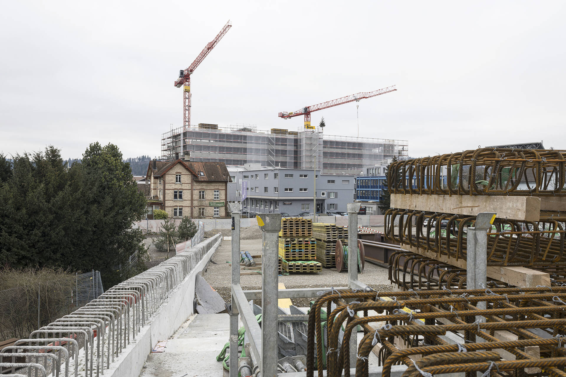 Fotografische Langzeitbeobachtung Grüze, Winter 2025