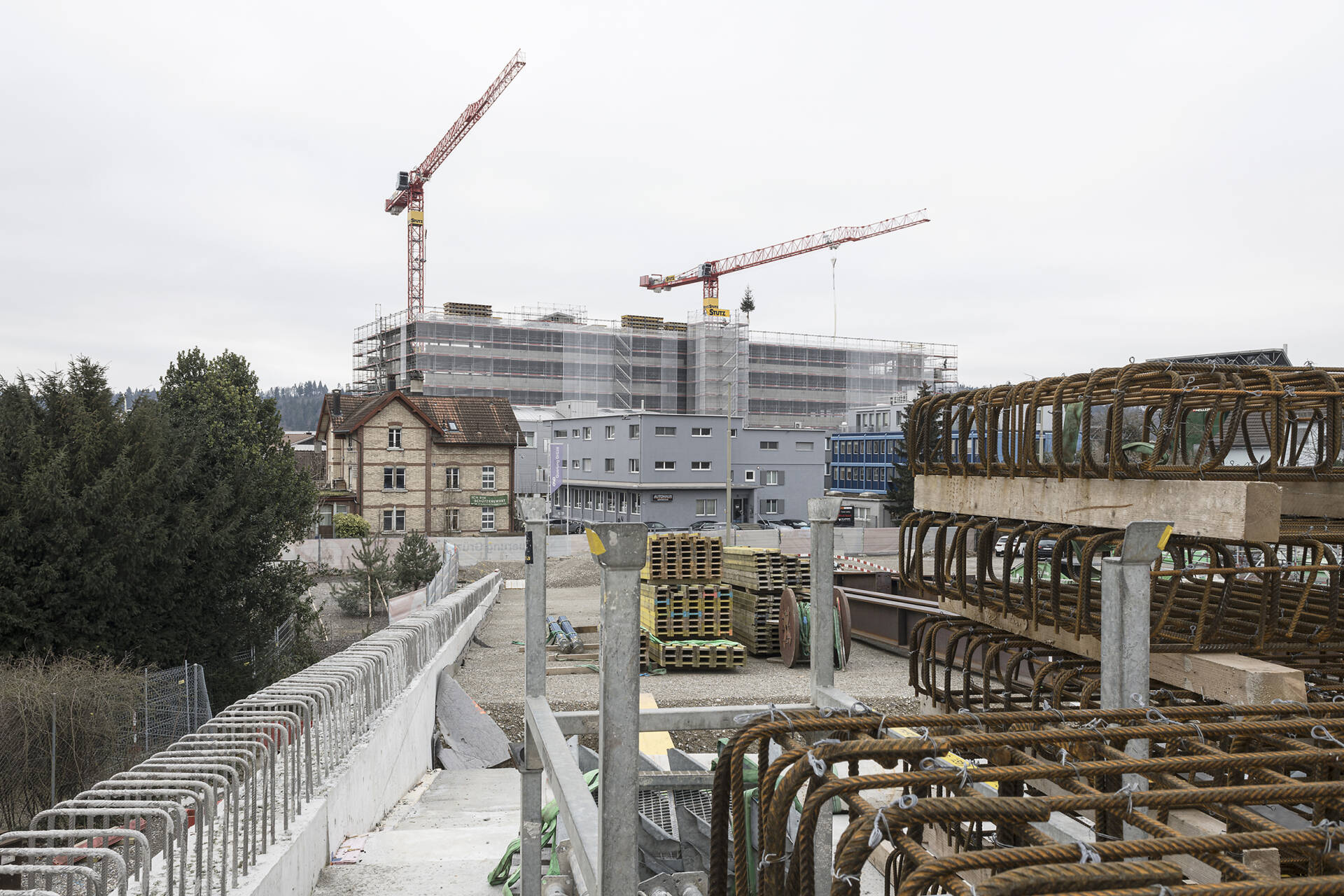 Fotografische Langzeitbeobachtung Grüze, Winter 2025