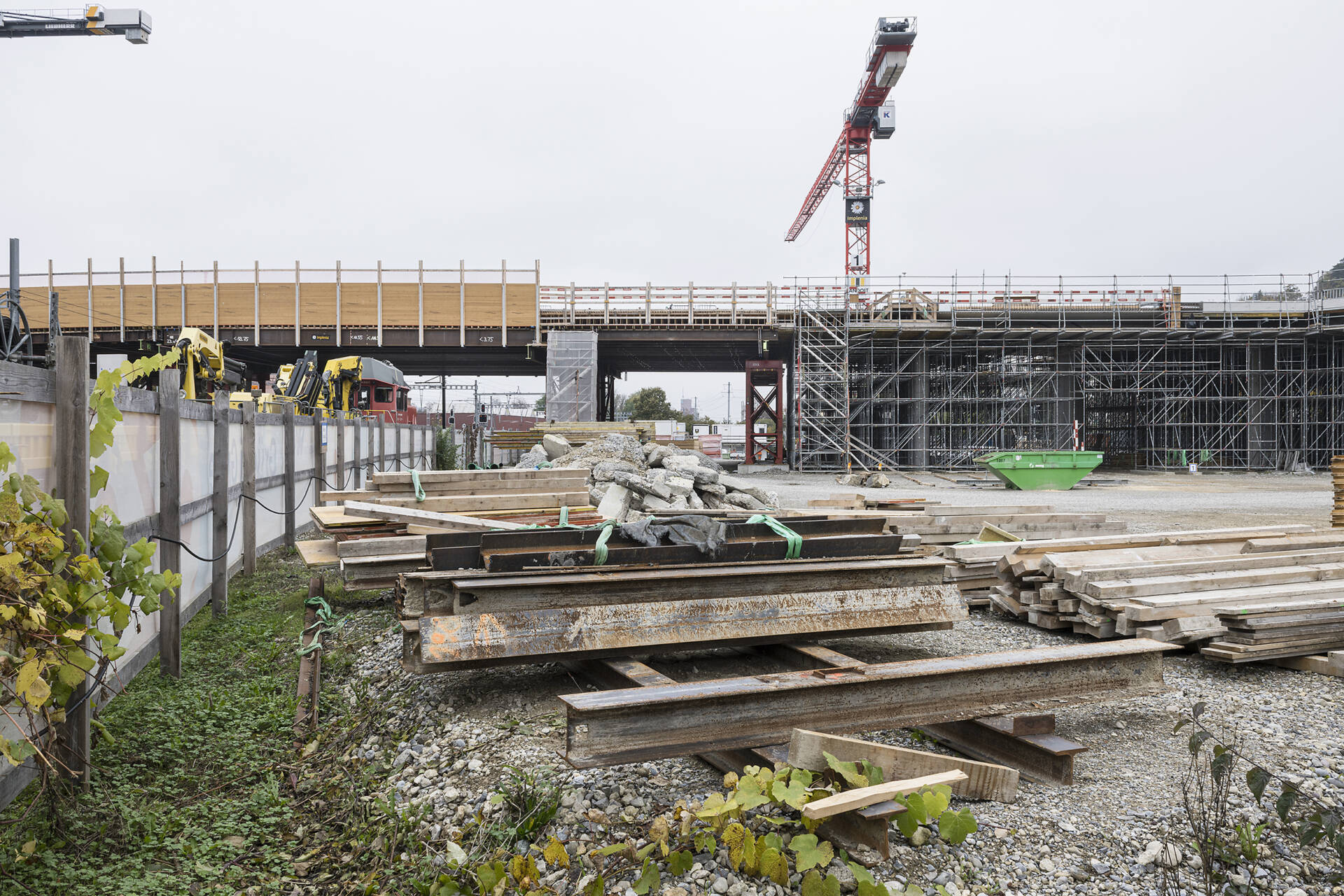 Fotografische Langzeitbeobachtung Grüze, Winter 2025