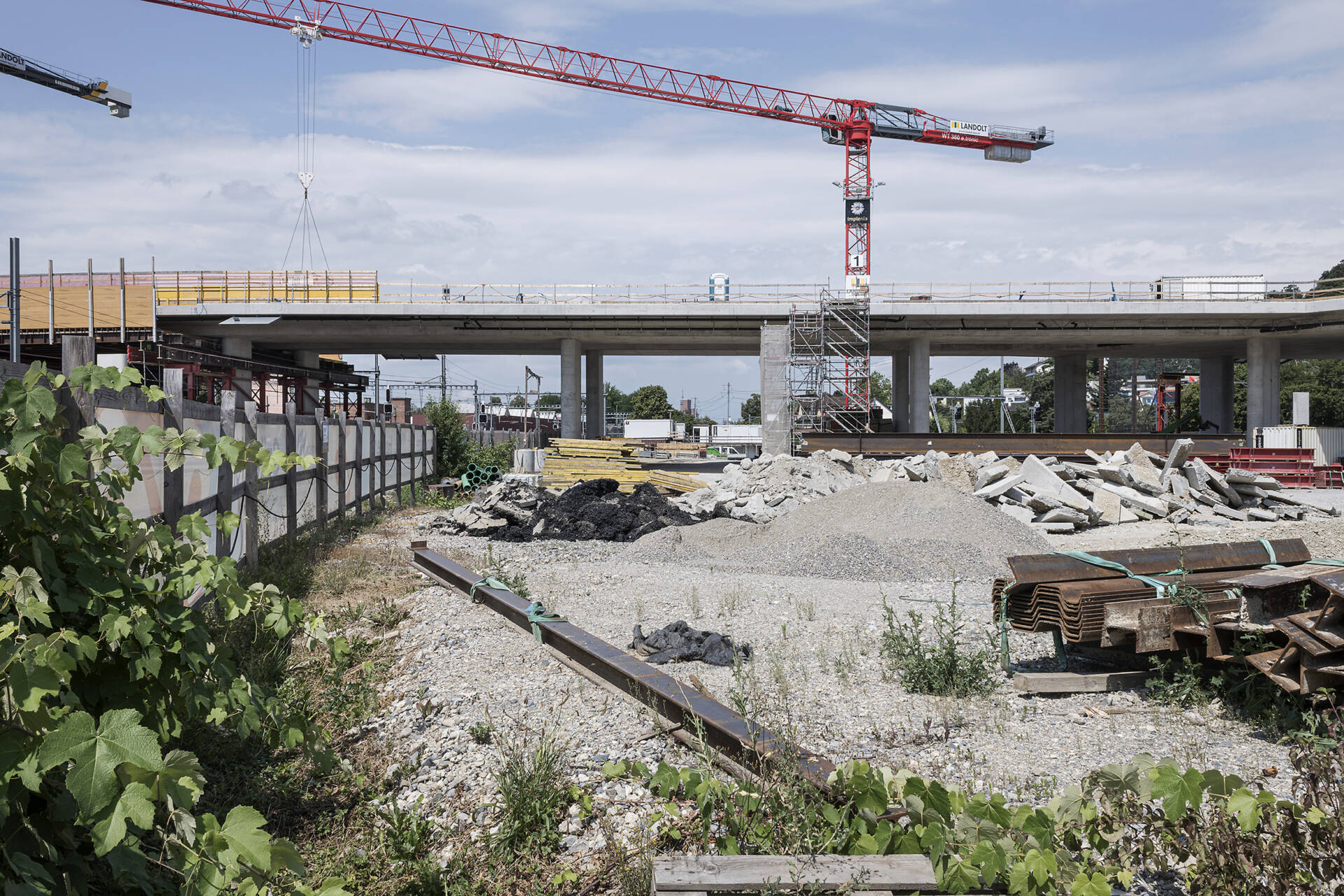 Fotografische Langzeitbeobachtung Grüze, Winter 2025