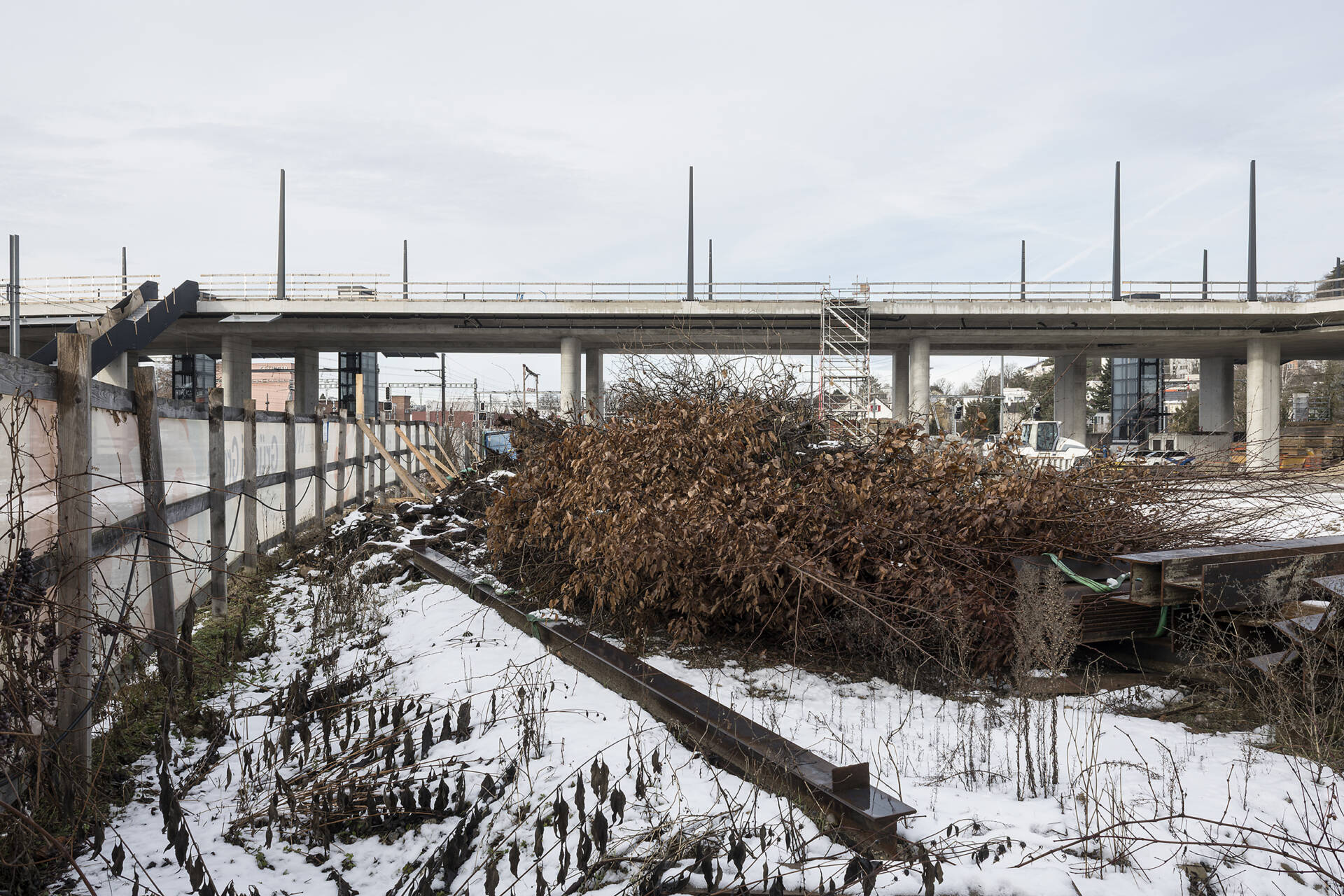 Fotografische Langzeitbeobachtung Grüze, Winter 2025