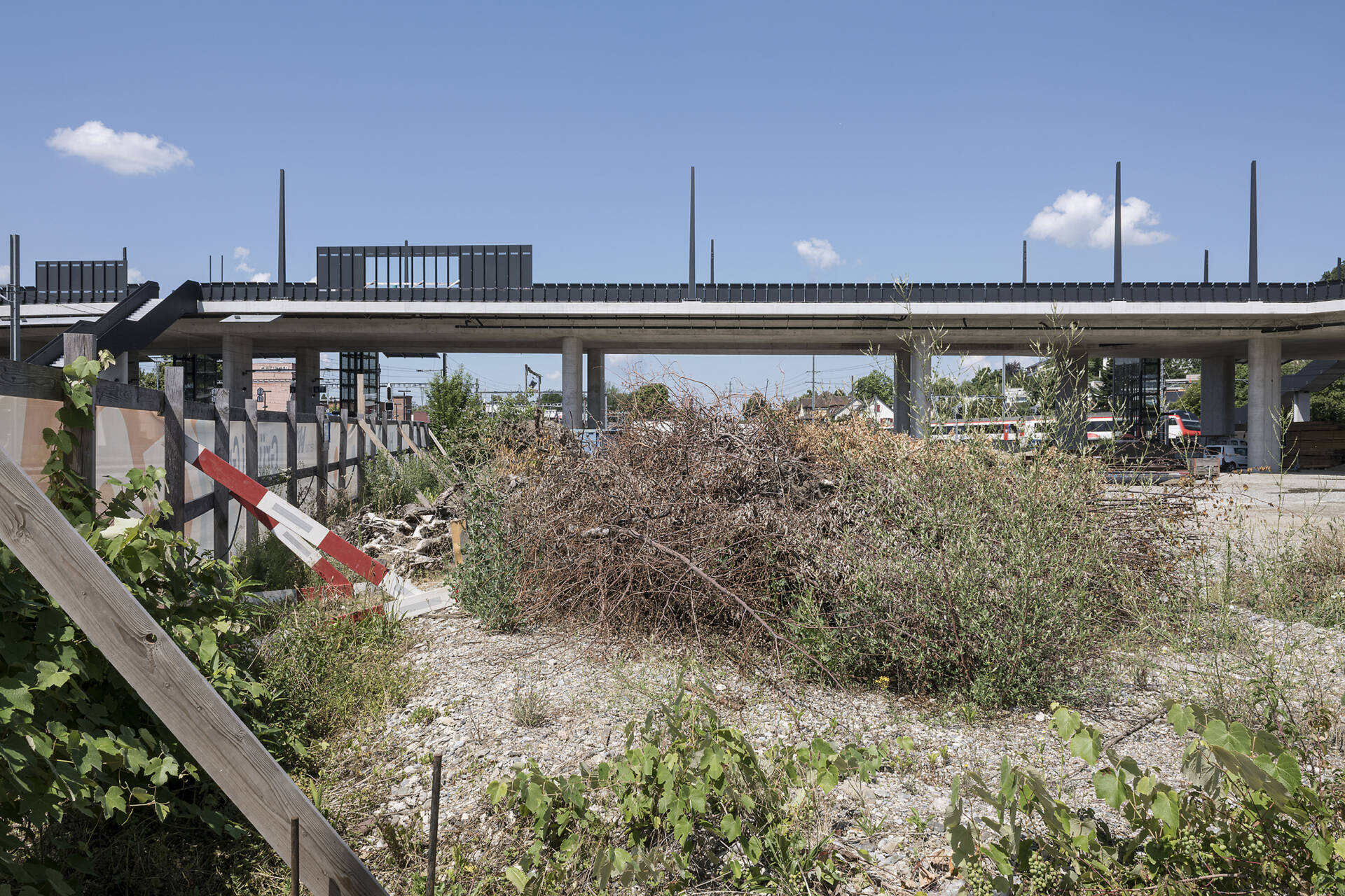 Fotografische Langzeitbeobachtung Grüze, Winter 2025