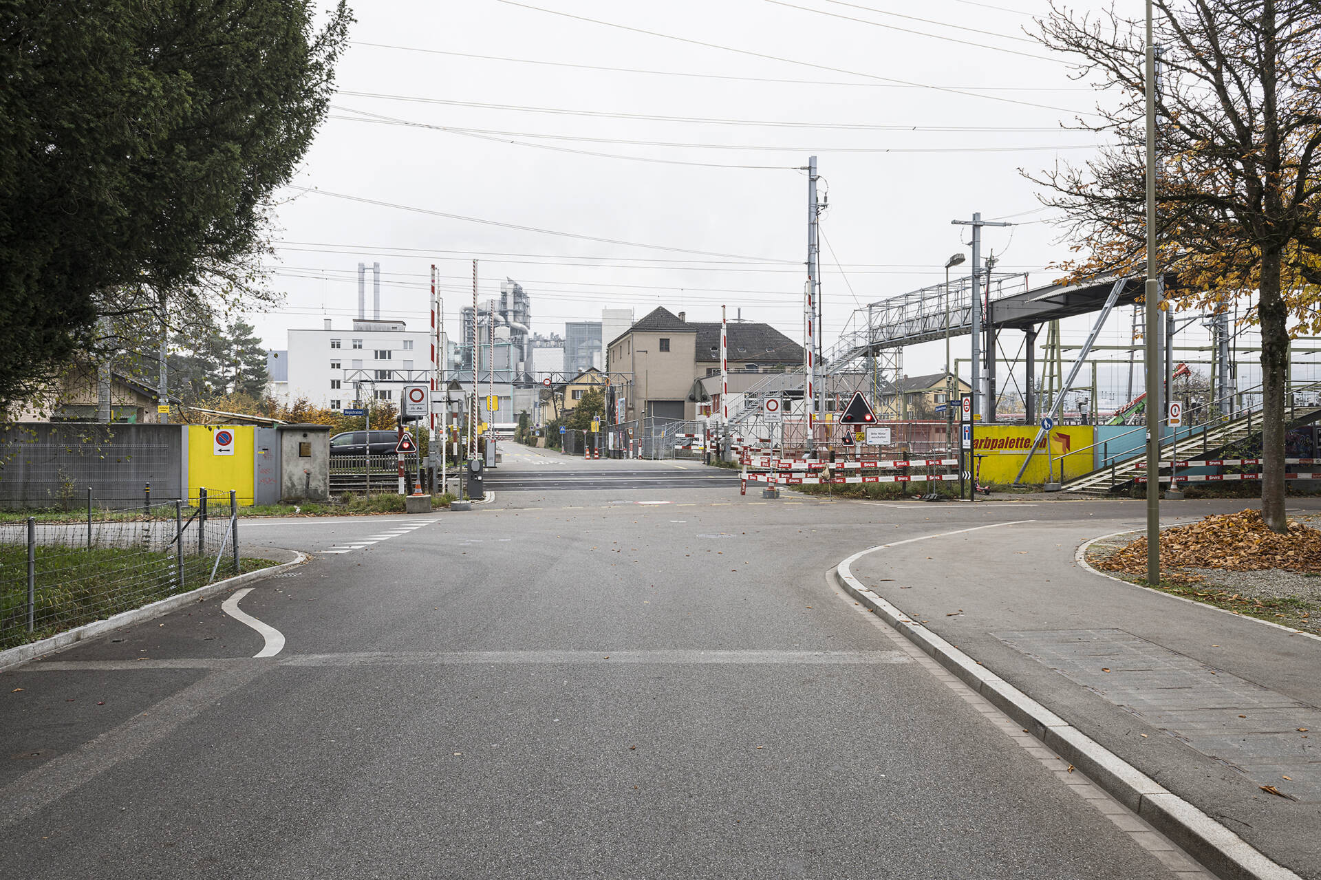 Fotografische Langzeitbeobachtung Grüze, Winter 2025