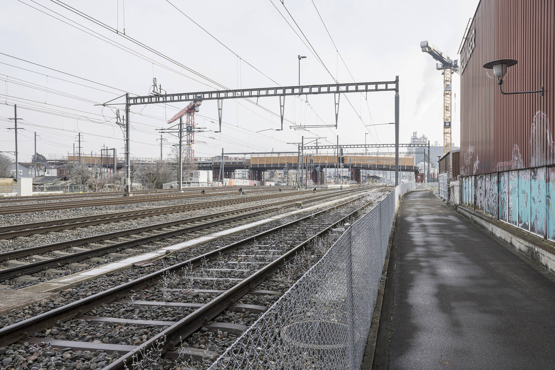Fotografische Langzeitbeobachtung Grüze, Winter 2025