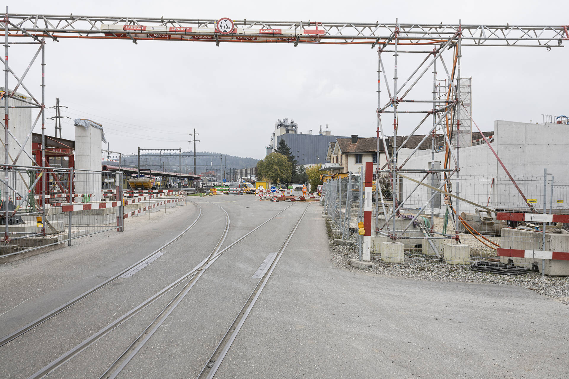 Fotografische Langzeitbeobachtung Grüze, Winter 2025