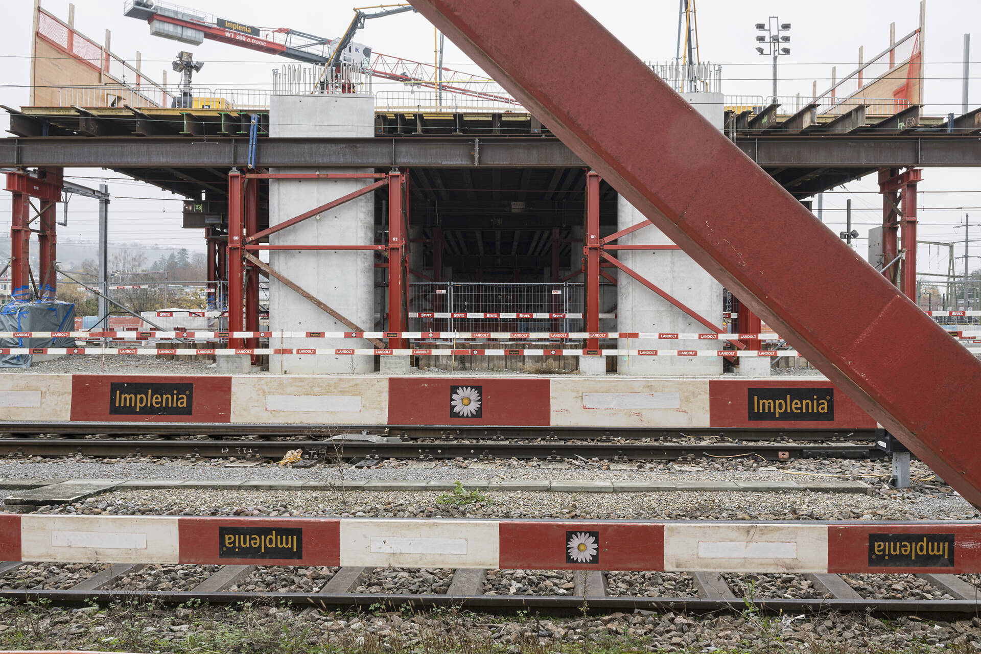 Fotografische Langzeitbeobachtung Grüze, Winter 2025