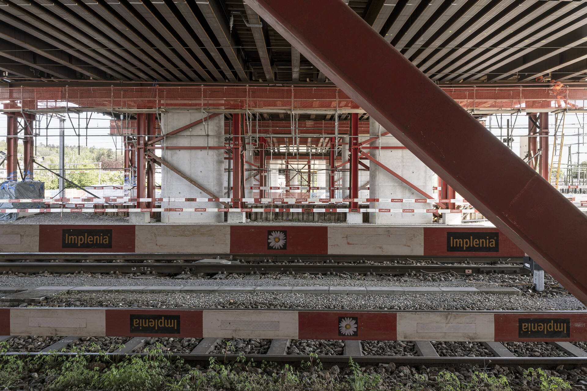 Fotografische Langzeitbeobachtung Grüze, Winter 2025