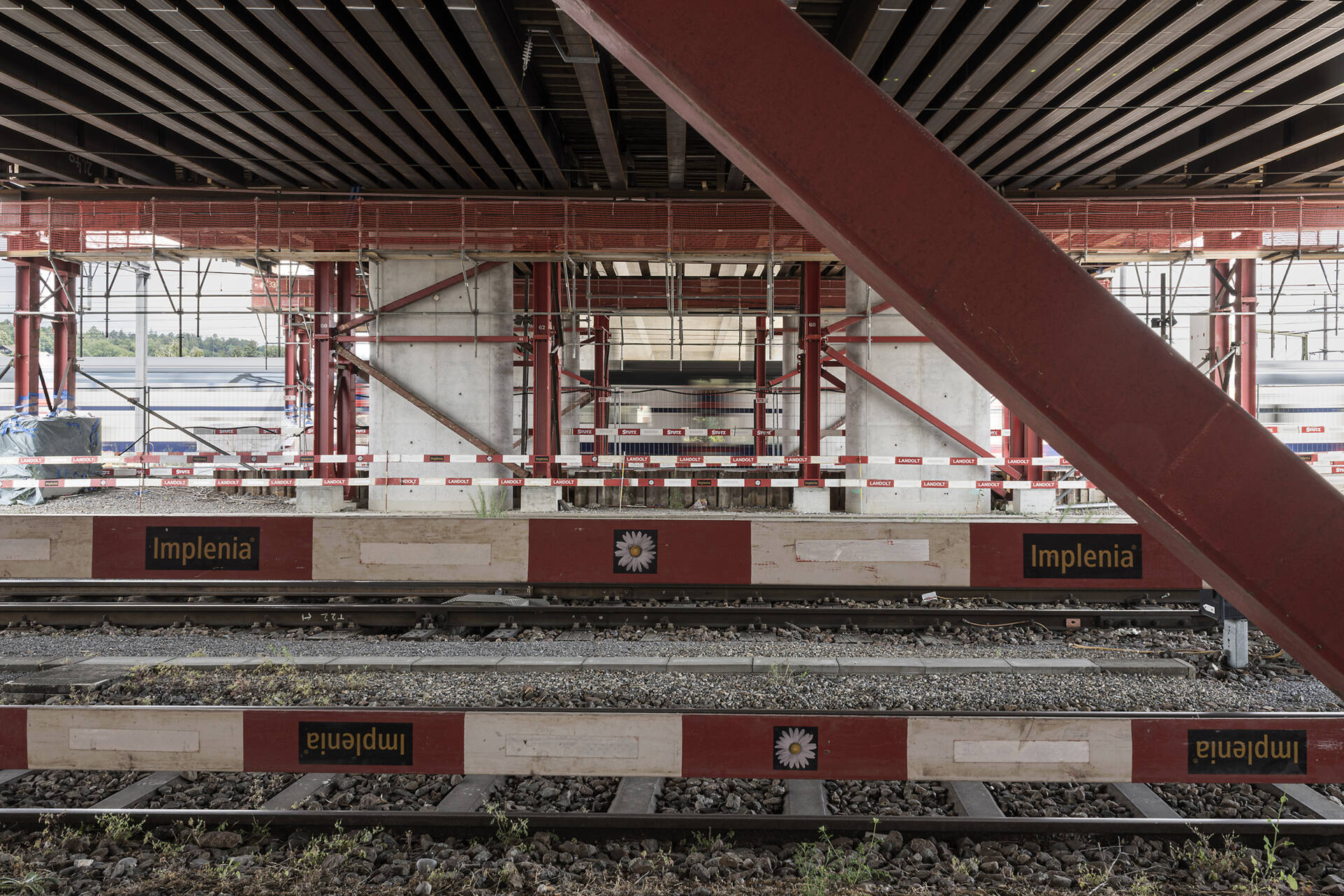 Fotografische Langzeitbeobachtung Grüze, Winter 2025